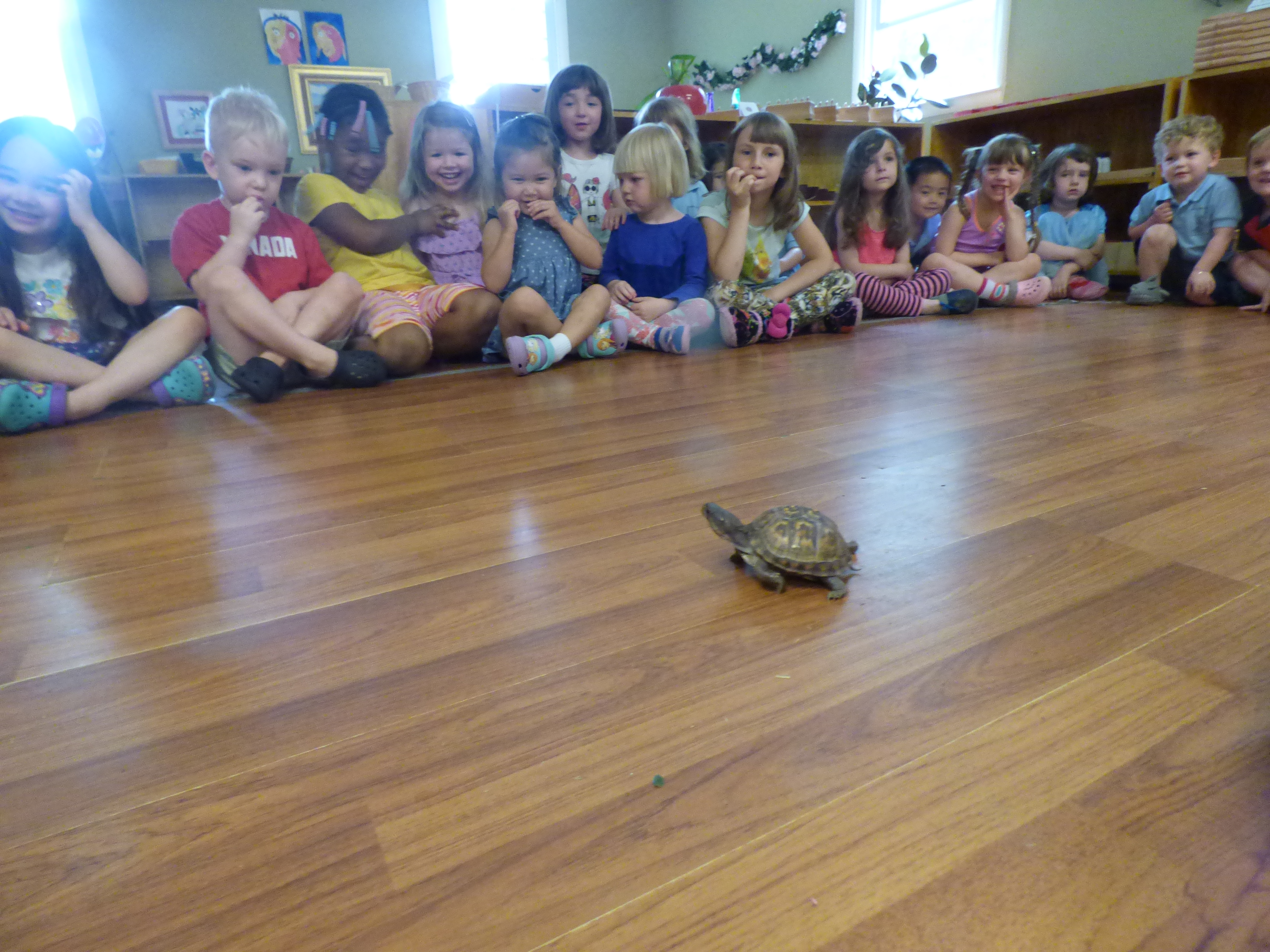 Summer Camp at Ava Wanas