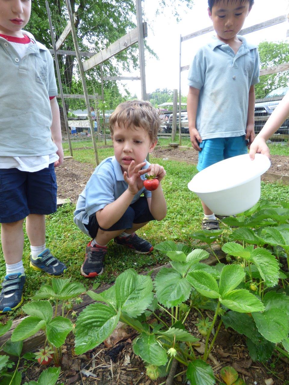 Children Gardening